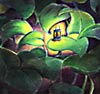 Color pencil drawing of a latern shining brightly among the giant leaves at night - CLICK TO EXPAND GRAPHIC