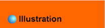 Illustration - Graphic Design Services