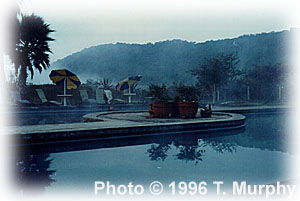 dawn poolside